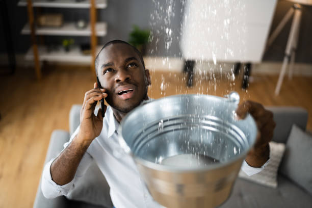Best Fire Damage Restoration  in Bladensburg, MD