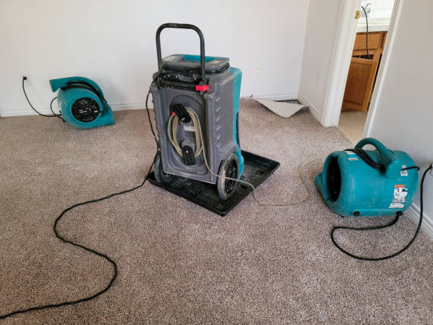Best Commercial water damage restoration  in Bladensburg, MD