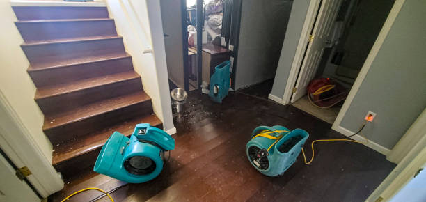 Best Local water damage restoration  in Bladensburg, MD