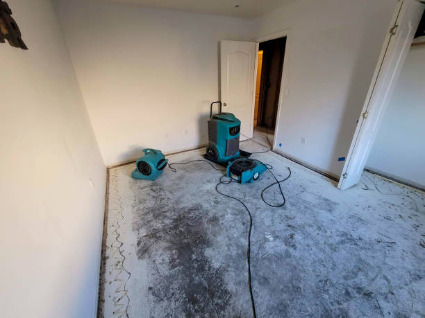 Best Mold removal after water damage  in Bladensburg, MD