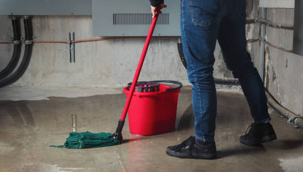 Best Water damage restoration near me  in Bladensburg, MD