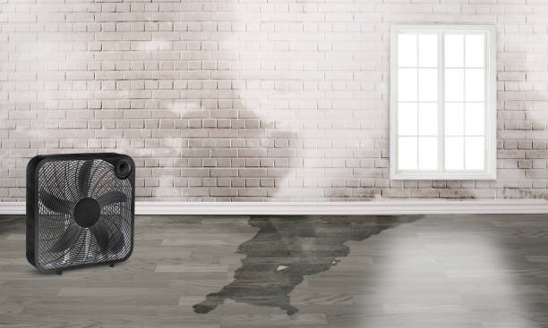 Best Flood restoration services  in Bladensburg, MD