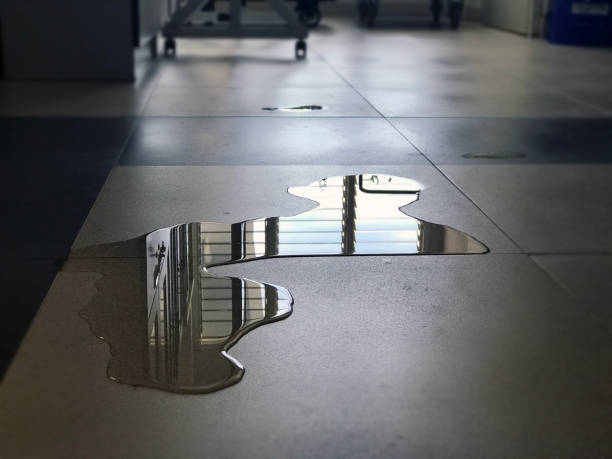 Best Water damage restoration experts  in Bladensburg, MD