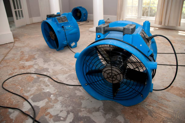 Best Carpet water damage restoration  in Bladensburg, MD