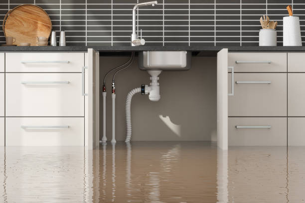 Best Water damage restoration services  in Bladensburg, MD
