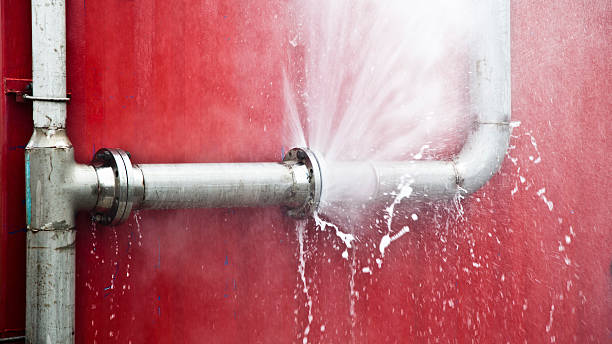 Best 24/7 water damage repair  in Bladensburg, MD